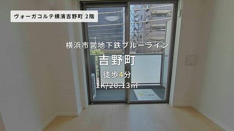 動画