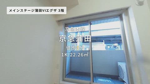動画