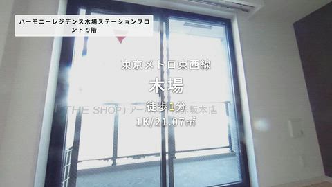 動画