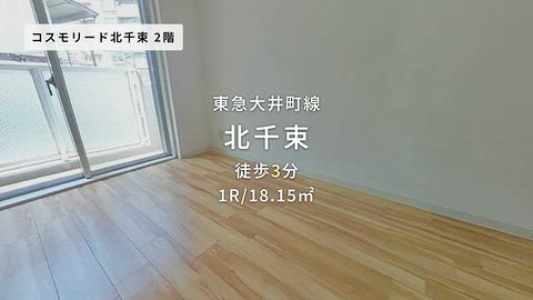 動画