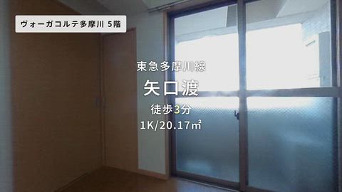 動画