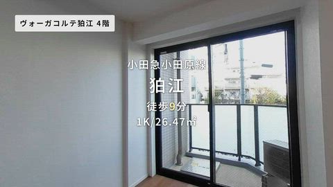 動画