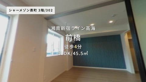 動画