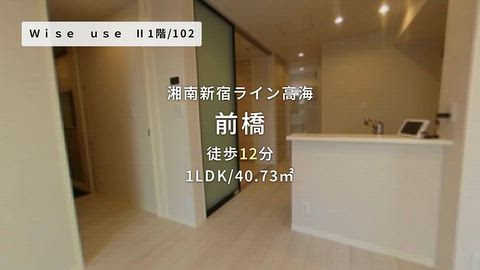 動画