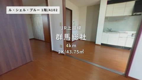 動画