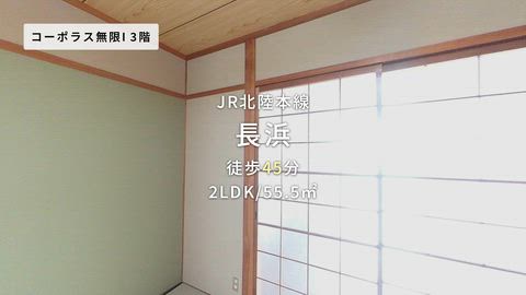 紹介ムービー