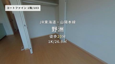 動画
