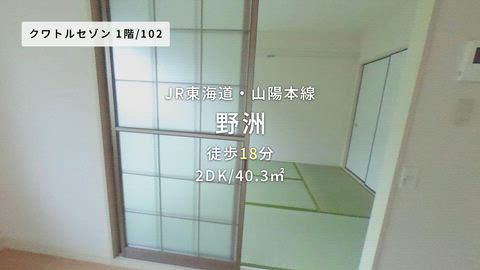 動画