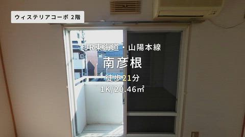 動画