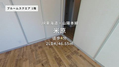 動画