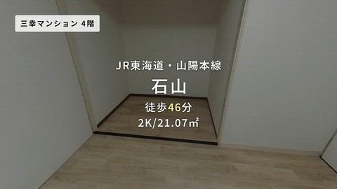 動画