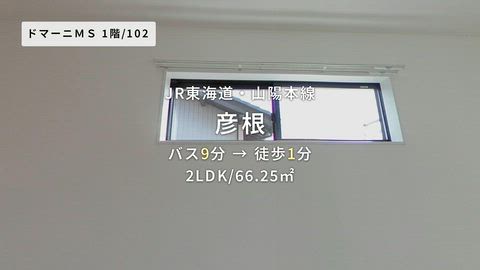 動画