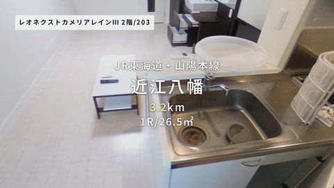 動画