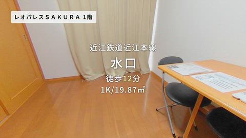 動画