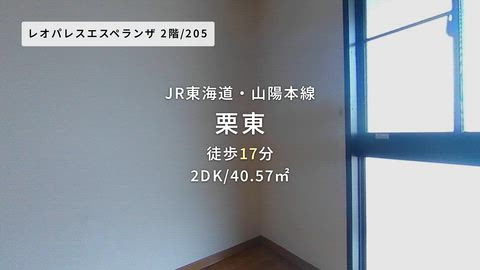 動画