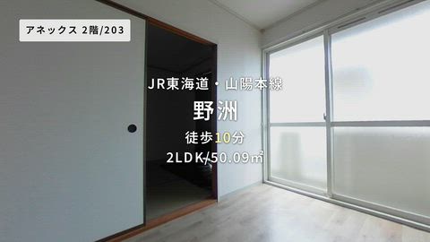 動画