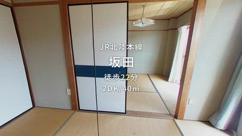 動画