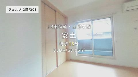 動画