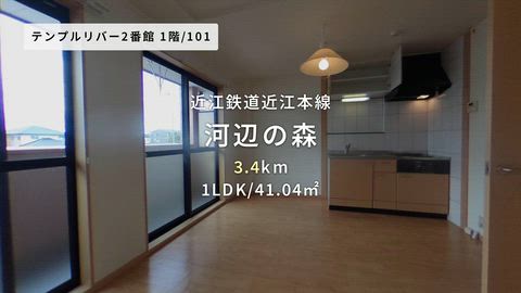 動画
