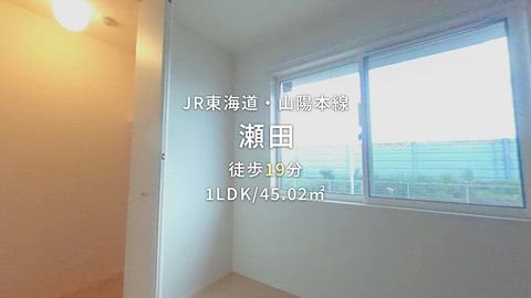 動画