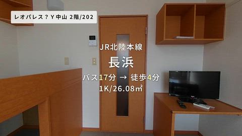動画
