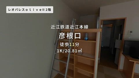 動画