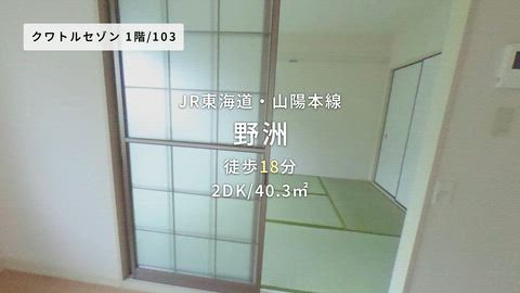 動画