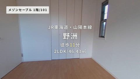 動画