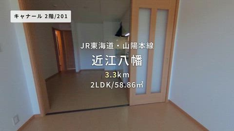 動画
