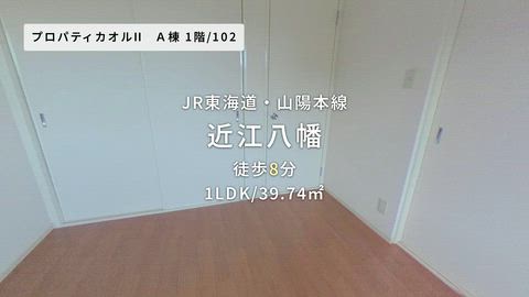 動画