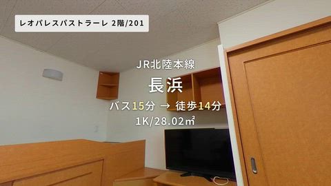 動画