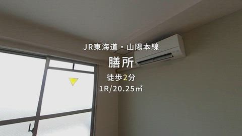 動画