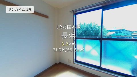 動画