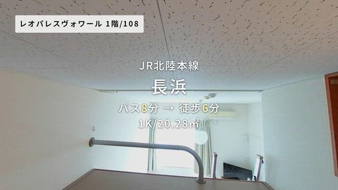 動画