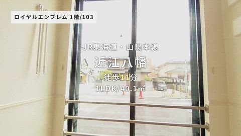 動画