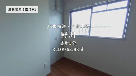 動画