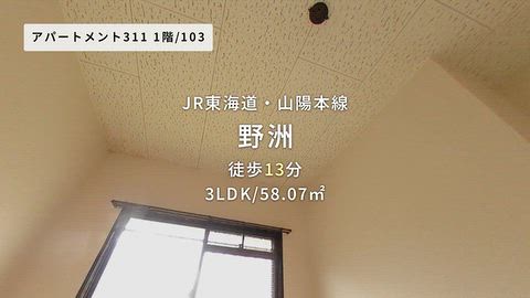 動画