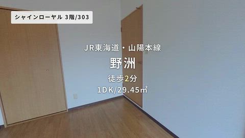 動画