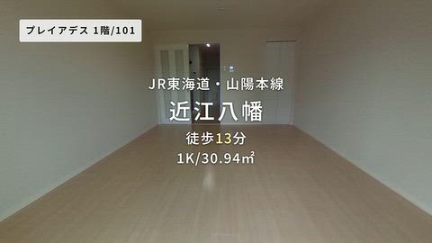 動画
