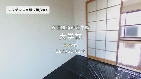 動画