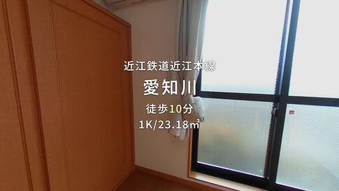 動画