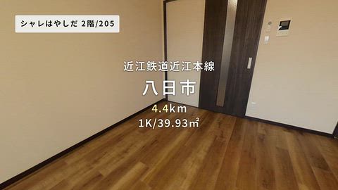 動画