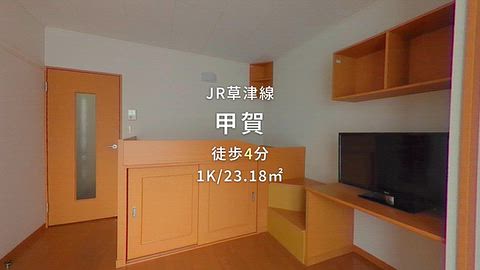 動画
