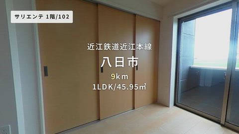 動画