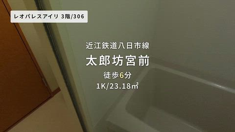 動画