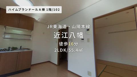 動画