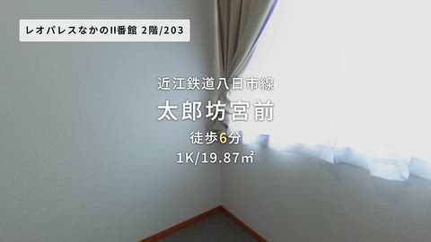 動画