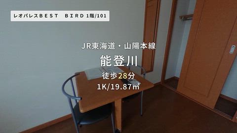 動画