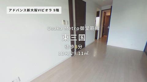 動画