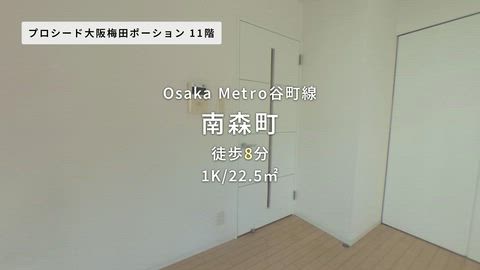 動画